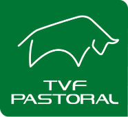 TVF Pastoral